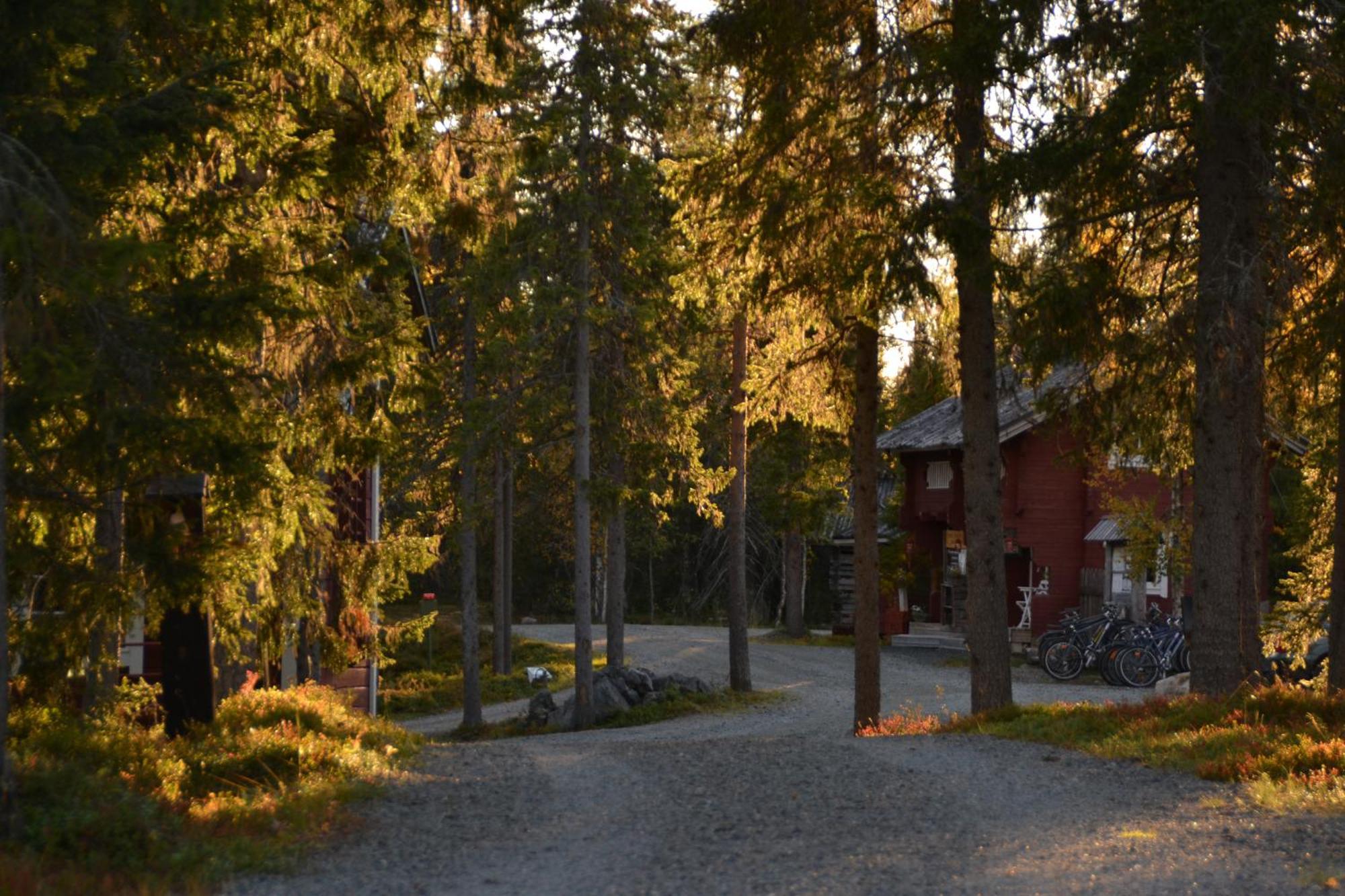 Wilderness Hotel Papin Talo רוקה מראה חיצוני תמונה